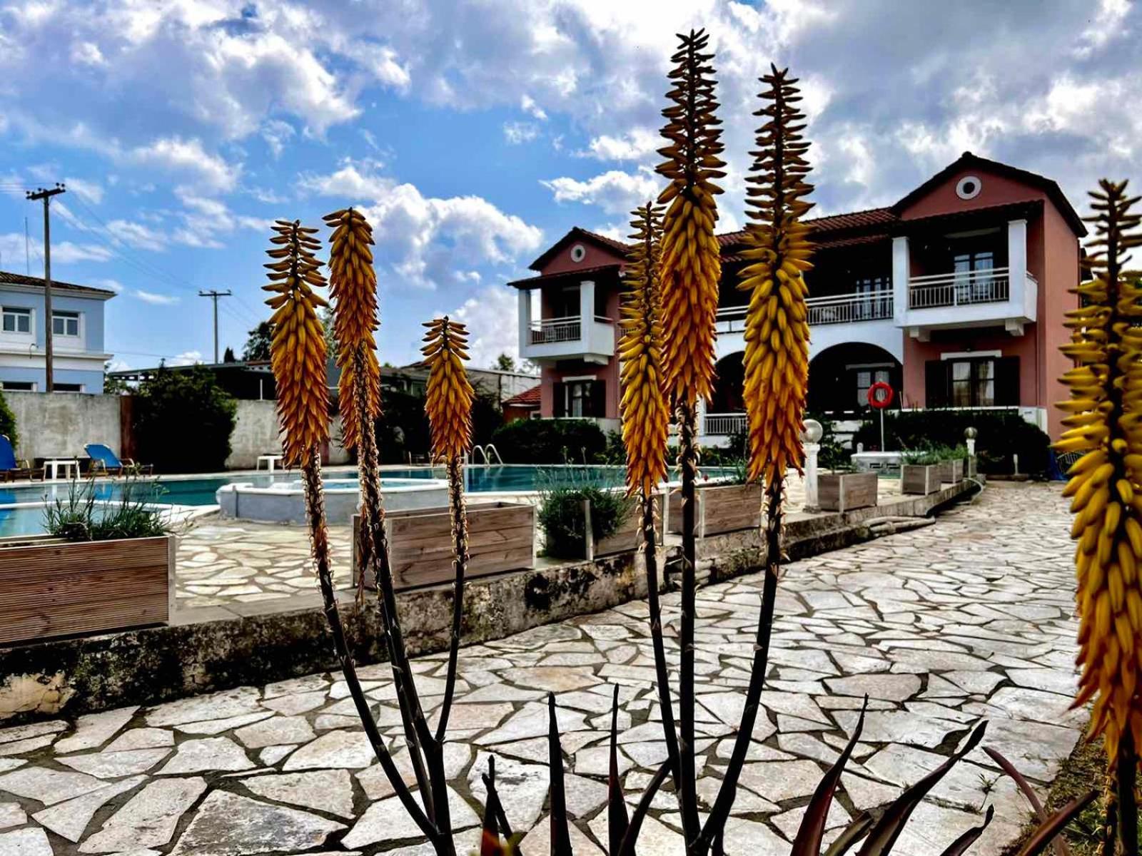 Ferienwohnung Angela Corfu Potamós Exterior foto