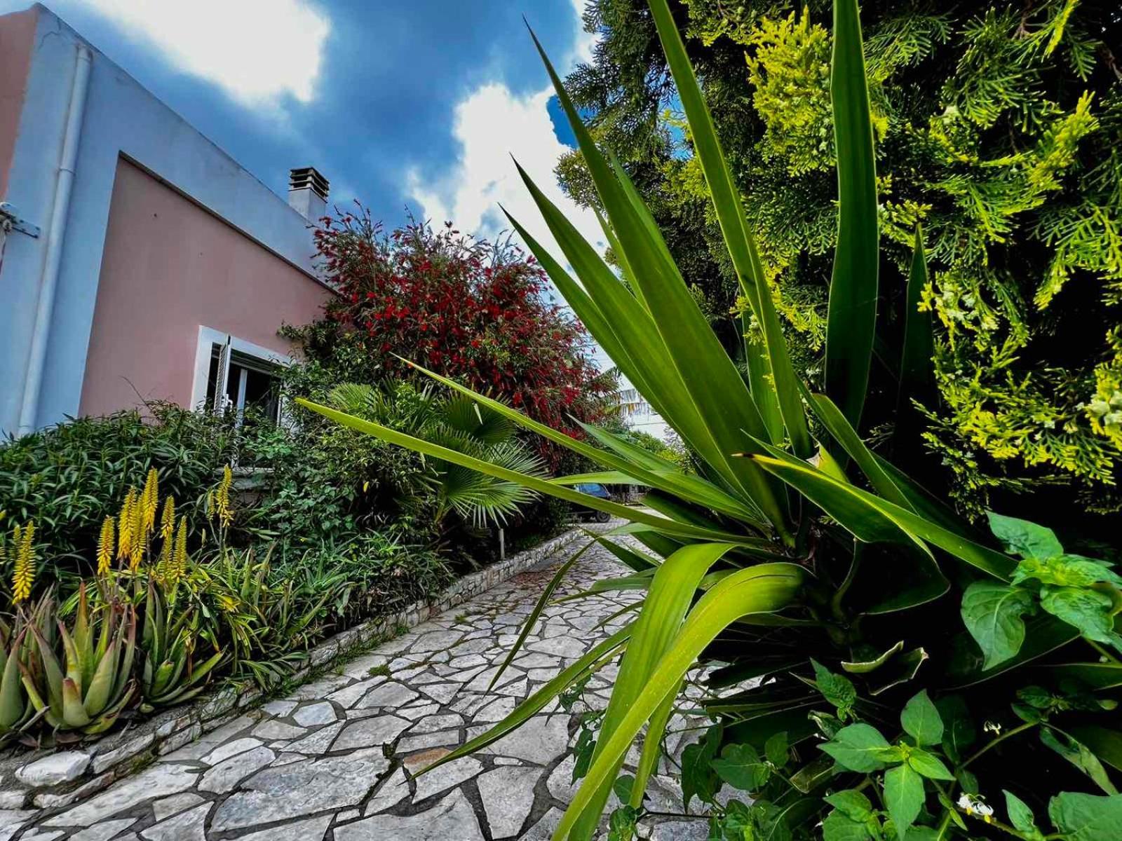 Ferienwohnung Angela Corfu Potamós Exterior foto