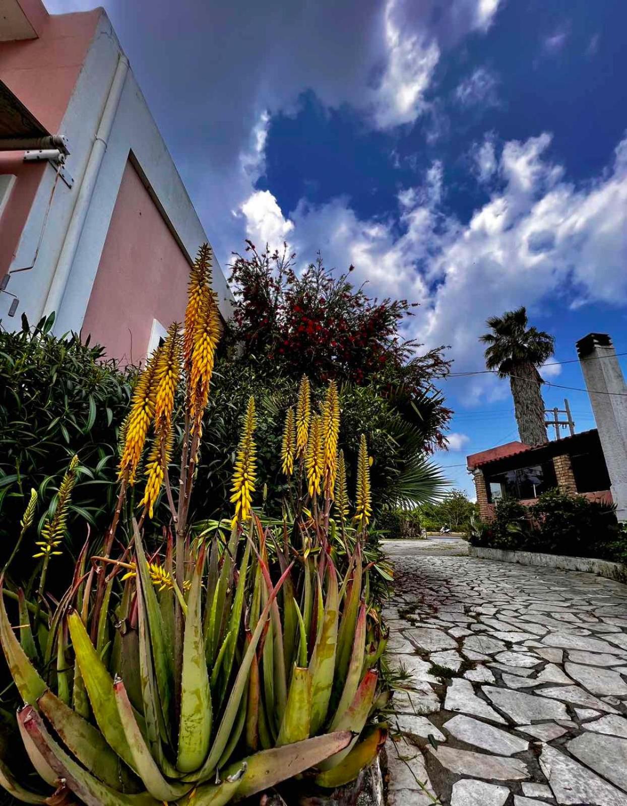Ferienwohnung Angela Corfu Potamós Exterior foto